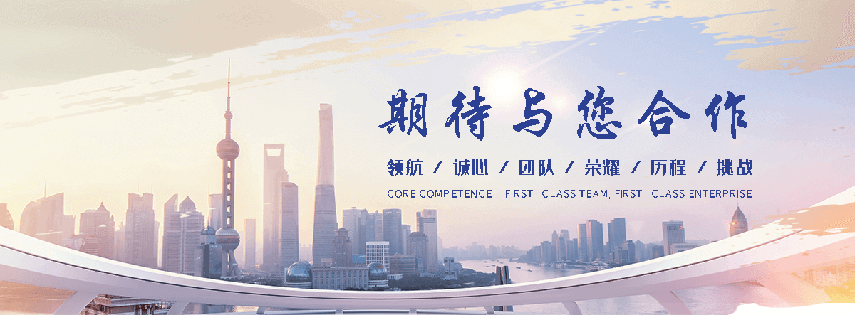 商丘海狮租赁公司